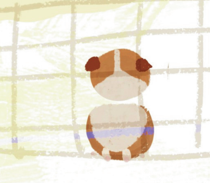 Ginger the classroom guinea pig, peeking through her cage